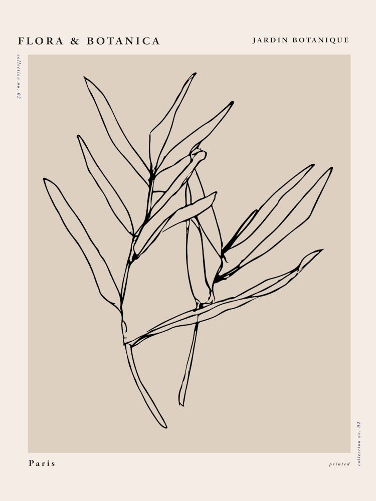 Flora botanica line no 08