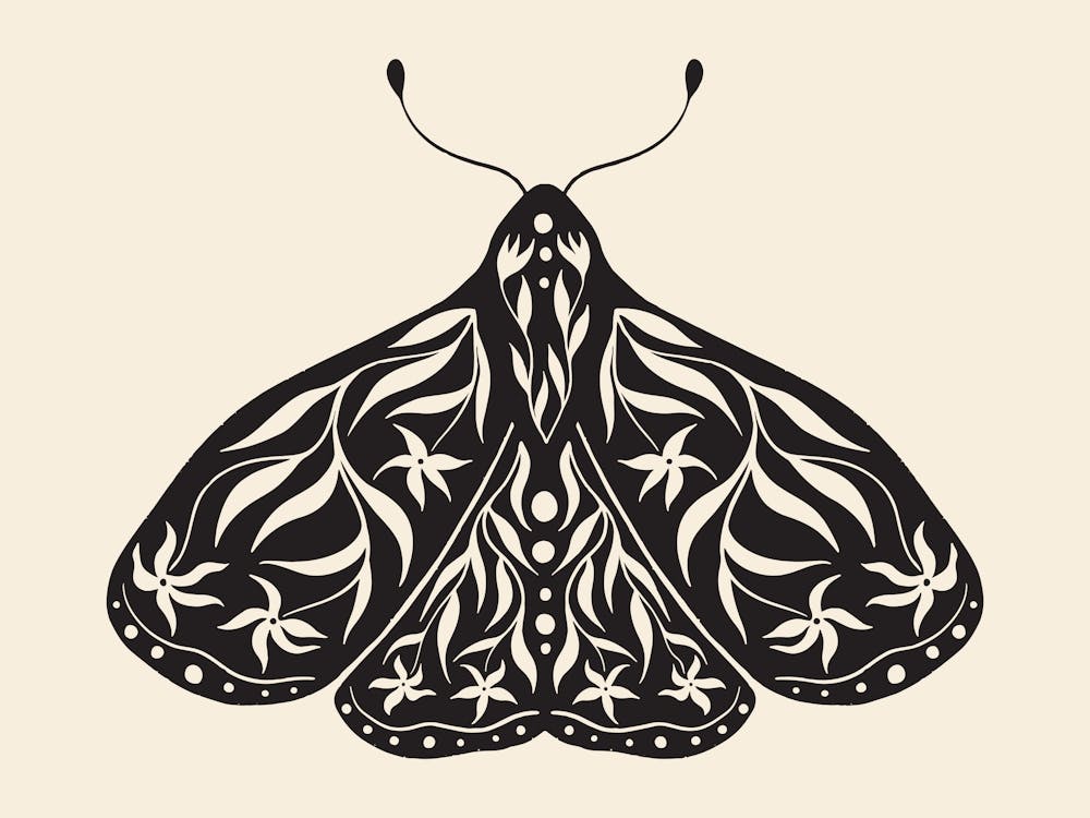 Folk Art Moth 01 - Ink