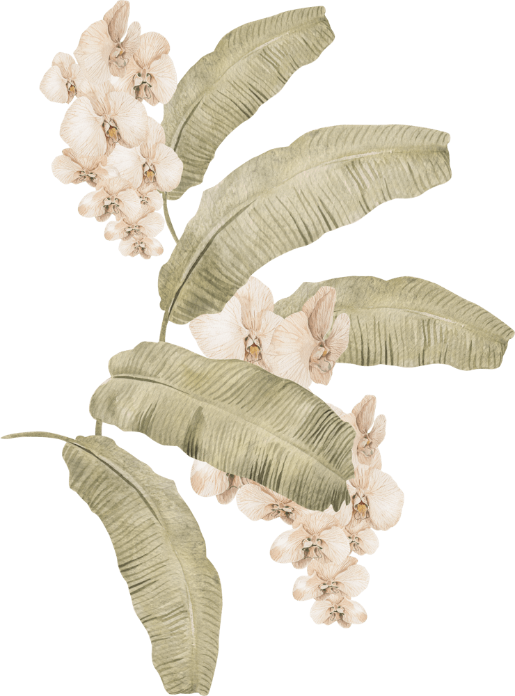 White Flowers