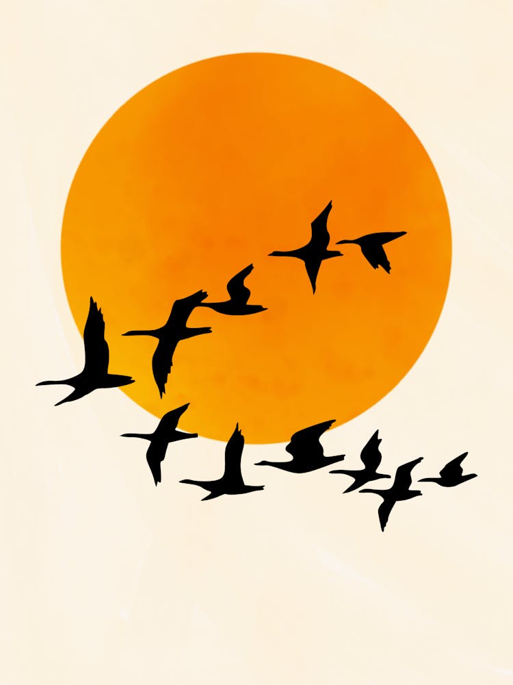Boho Sun Bird Silhouette