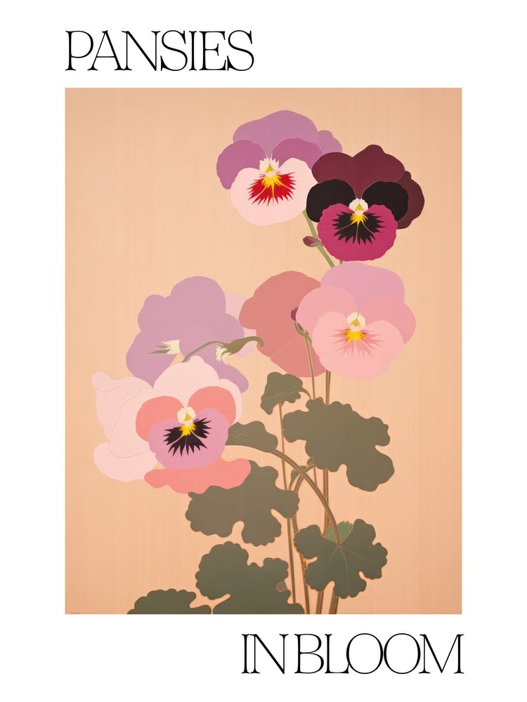 Stiefmütterchen in voller Blüte Blumen Kühne Illustration 2