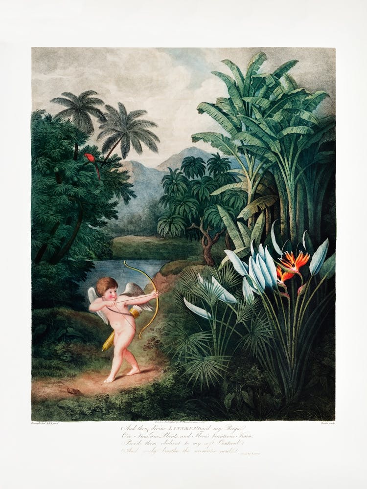 Vintage Botanical Temple Of Flora _2476823