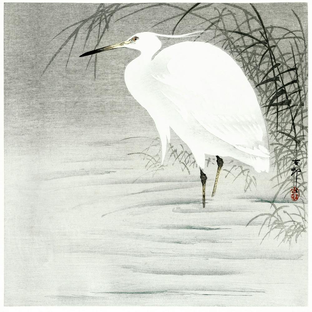 Little Egret (1900 1930), Ohara Koson