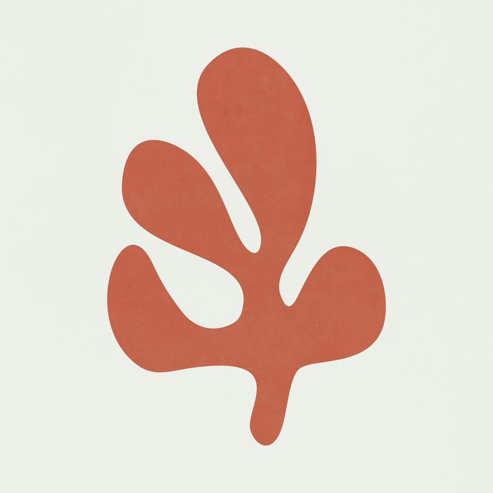 Matisse - Coral Leaf 02