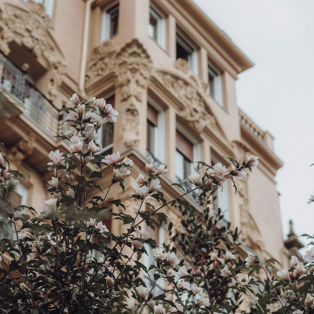 Pink Flowers And The Mansion St Sebastian, Spain Square