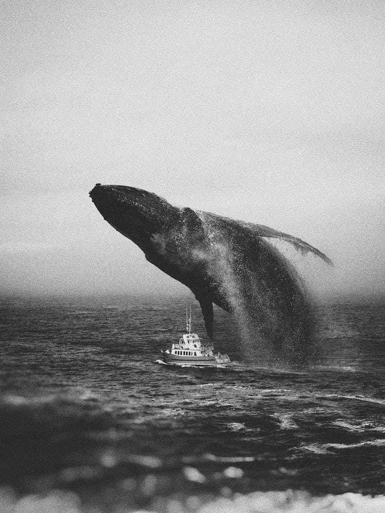 The Monsters At Sea