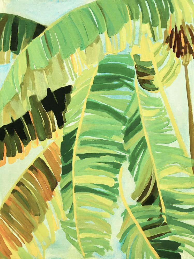 Palm Trees