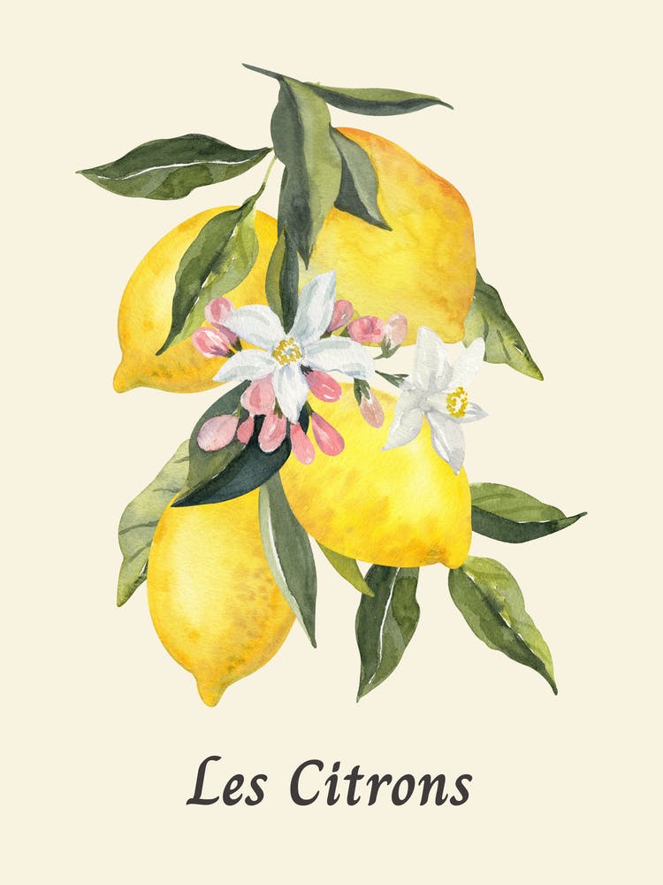 Simple Lemon Wall Art, Kitchen Poster