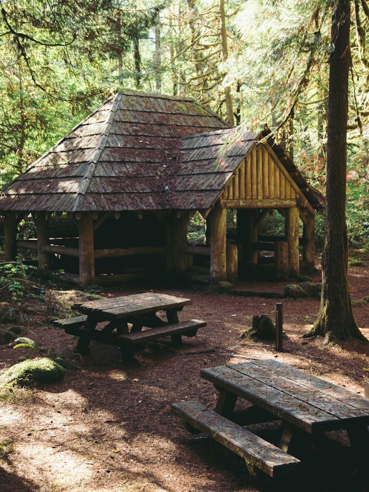Wald-Campingplatz