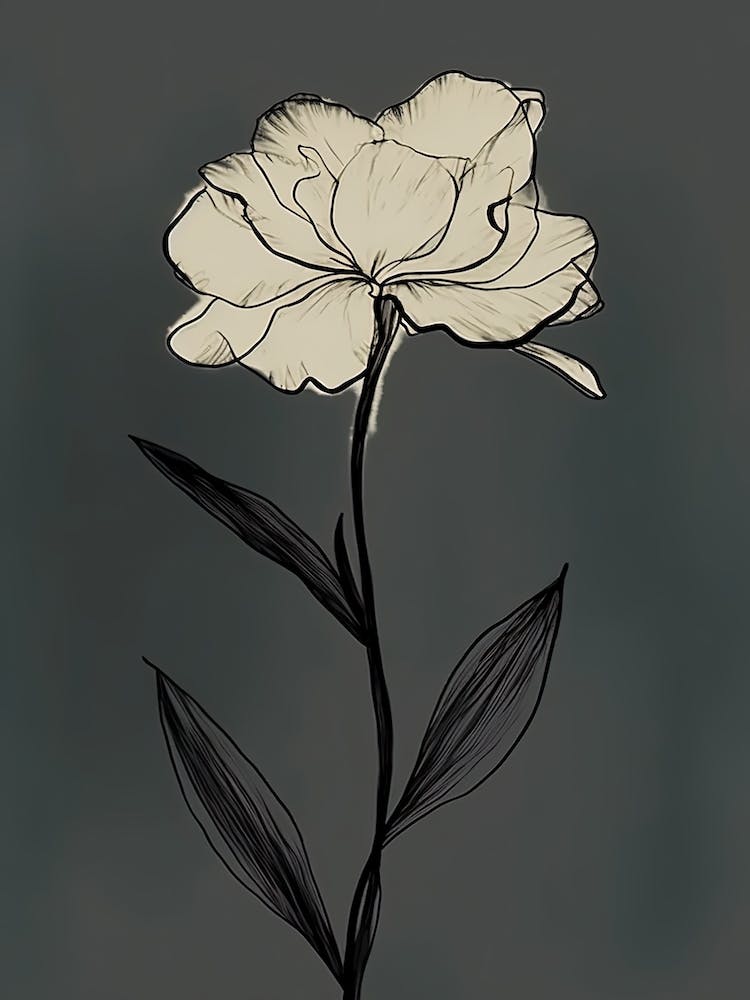 Gladioli Line Art Flowers Illustration Neutral 13