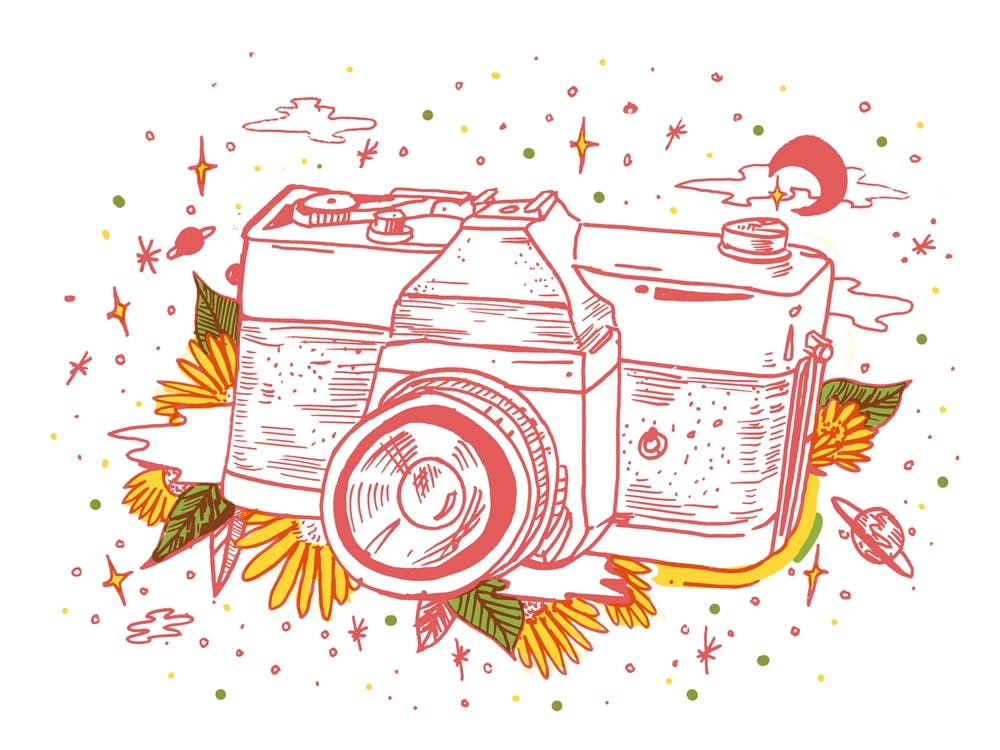 Camera And Flowers
