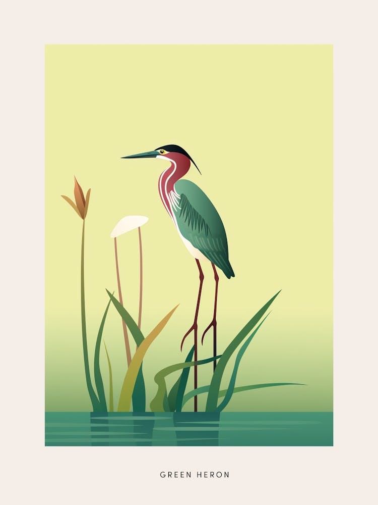 Minimalist Green Heron 1 Bird Poster