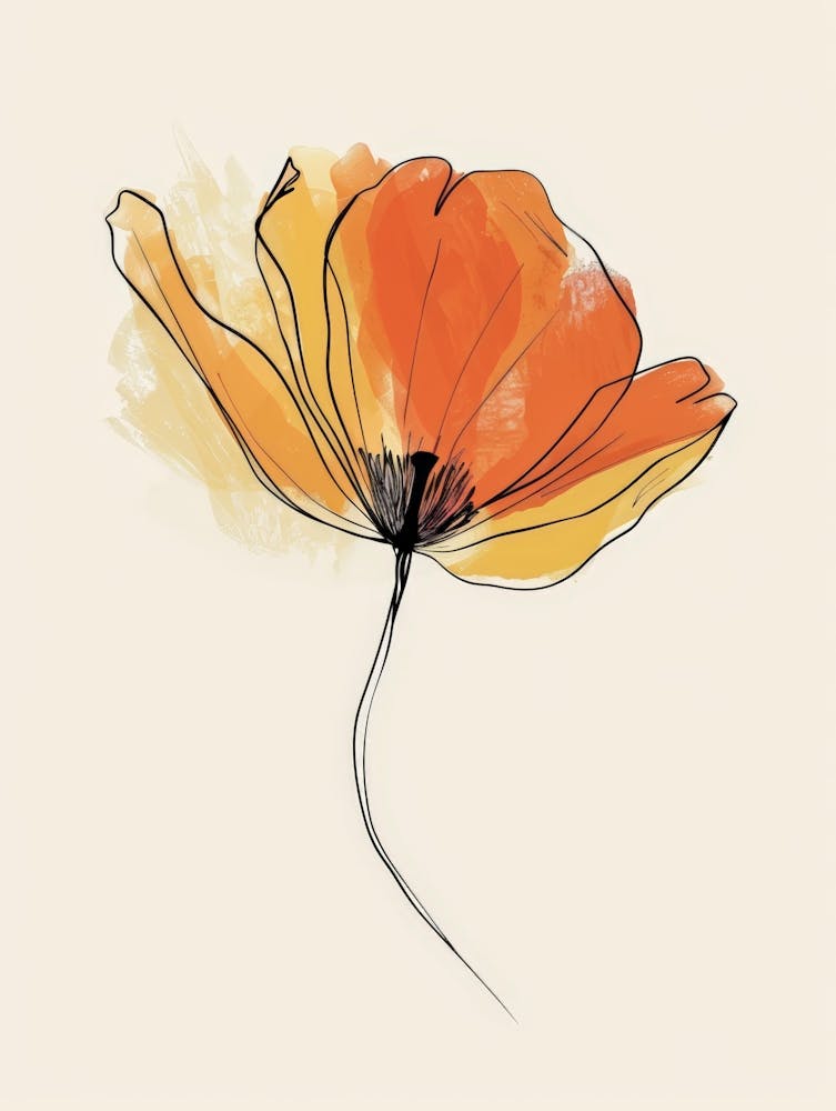 Orange Poppy 3