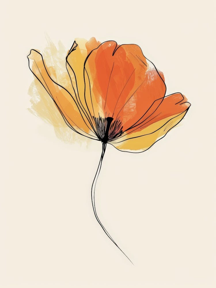 Orange Poppy 3