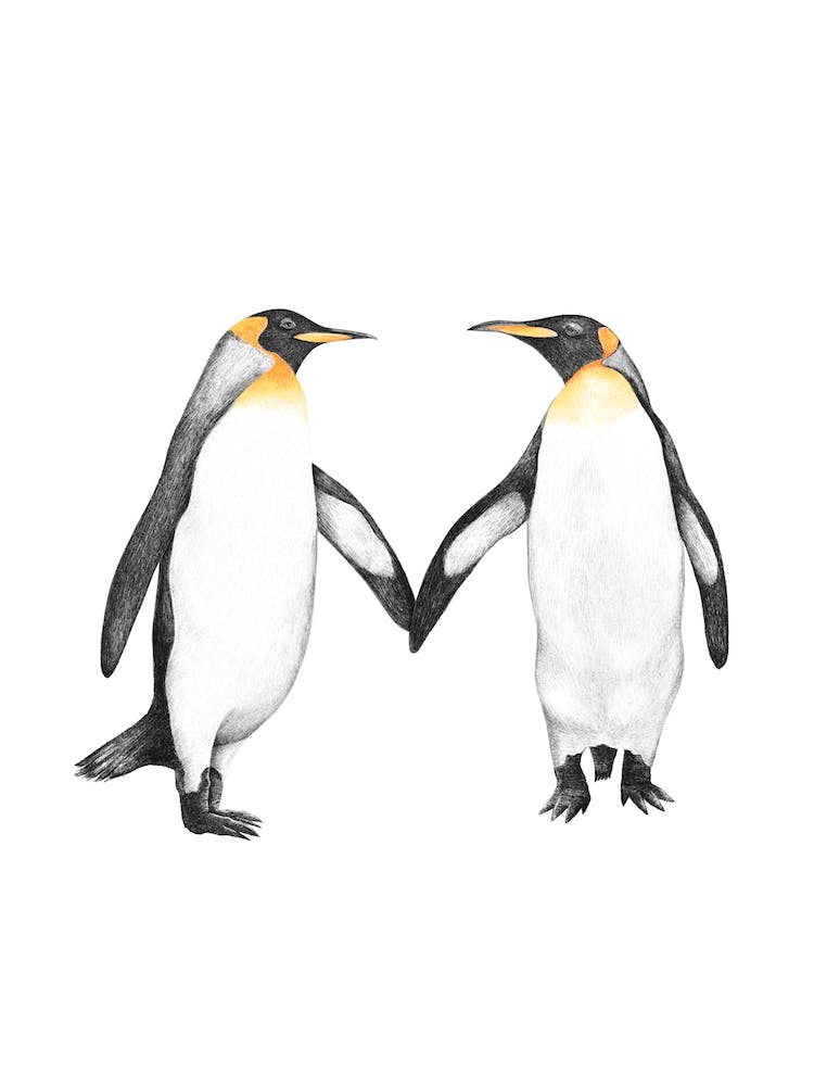 Royal Penguins