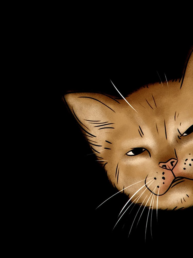 Kitty Cat