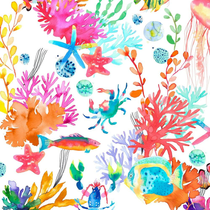 Marine Sea Animals Square