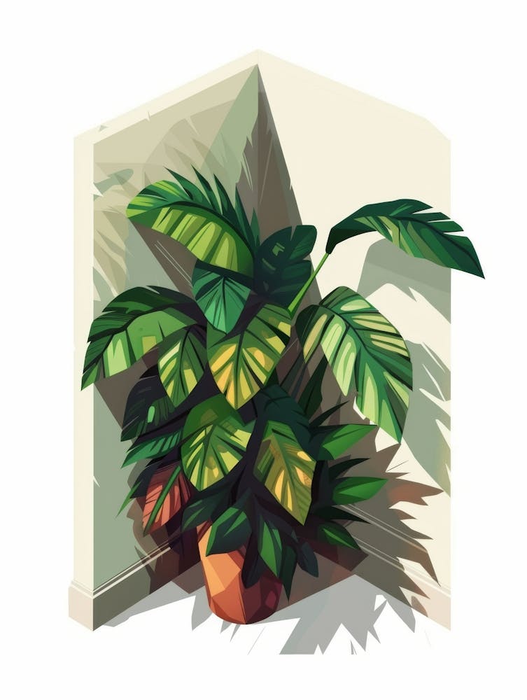 Plant In The Corner