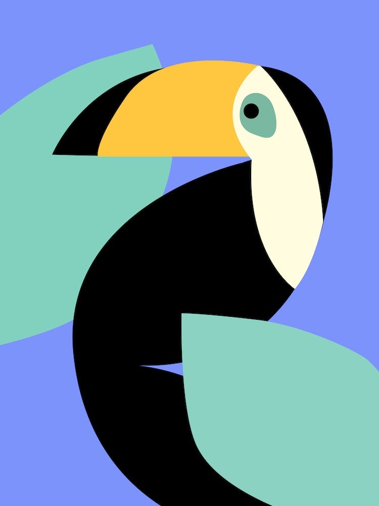 Quiet Toucan