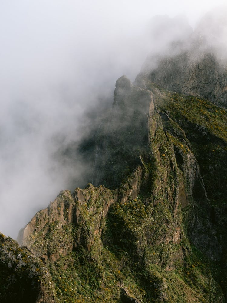 Ridges in the Mist