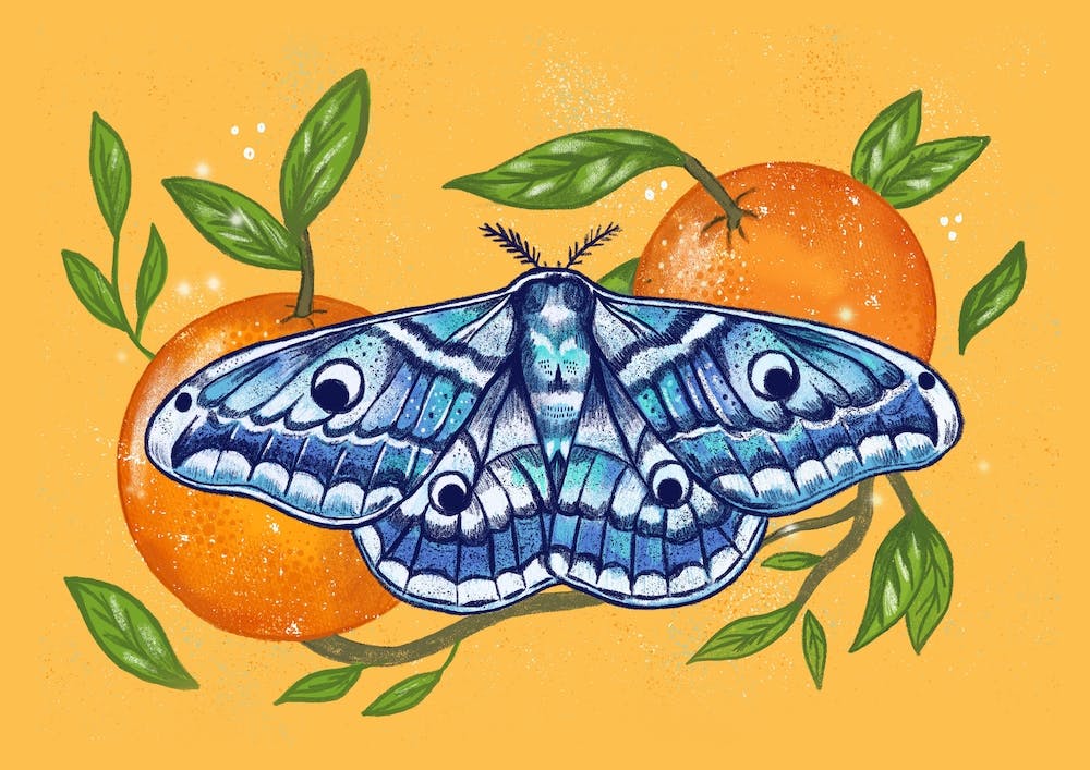Moth Oranges