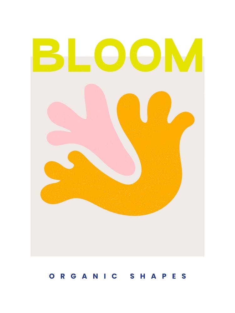 Bloom