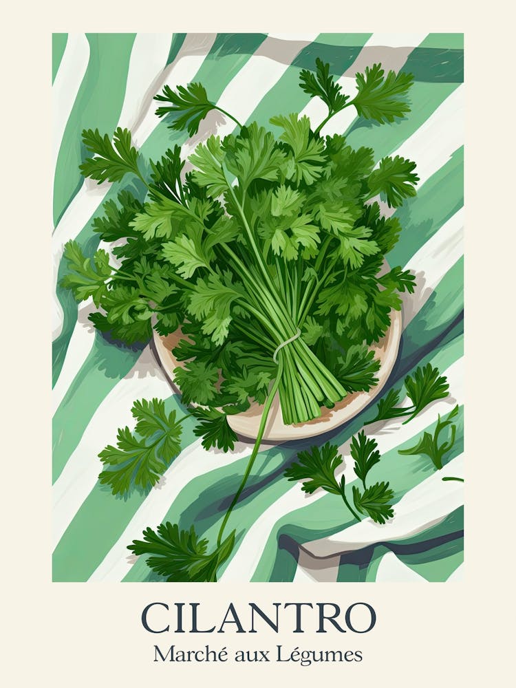 Marche Aux Legumes Cilantro Summer Illustration 5