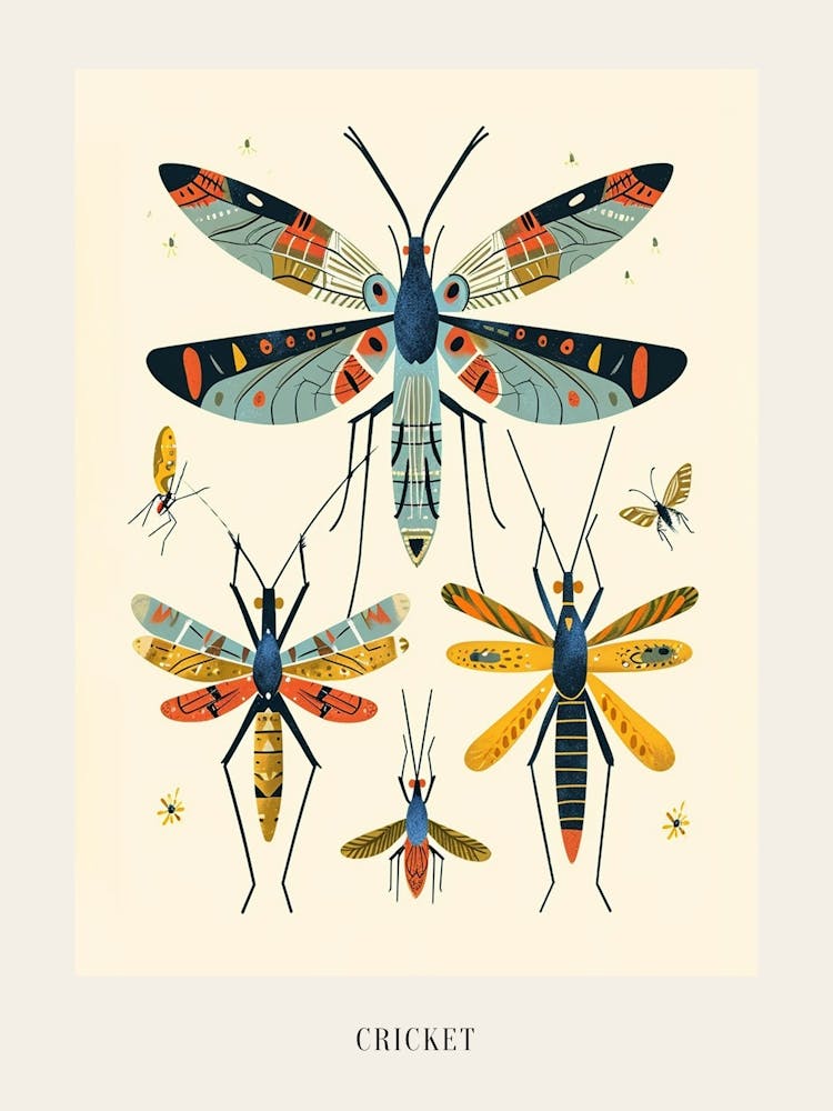 Colourful Insect Illustration Cricket 6 Poster
