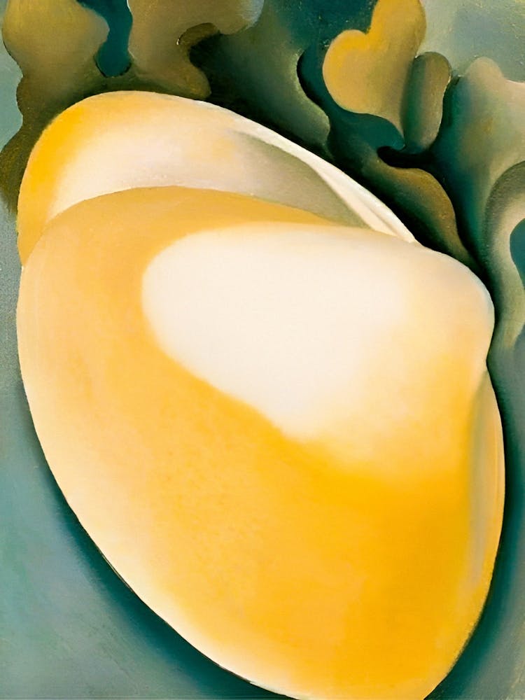 Georgia O'Keeffe - Tan Clam Shell with Seaweed. 1926