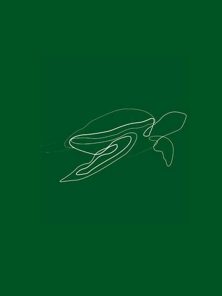 Turtle - Line Art Series
