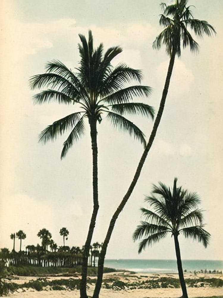 Ocean Beach San Diego California Vintage