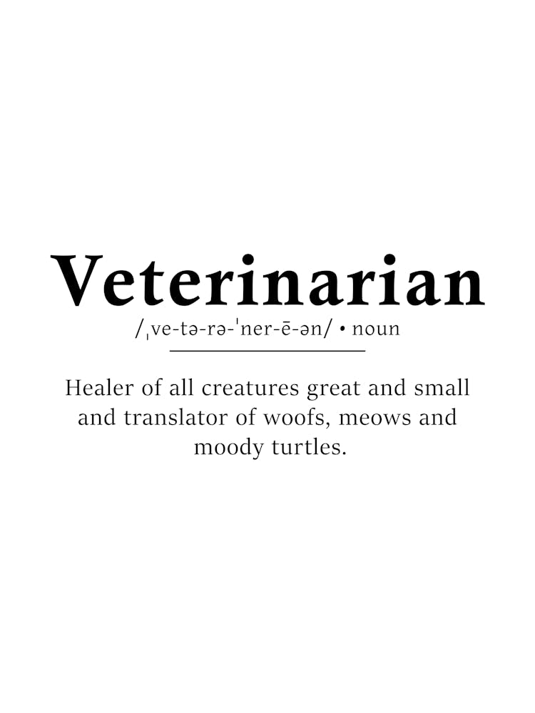 Veterinarian Definition Poster - Dictionary