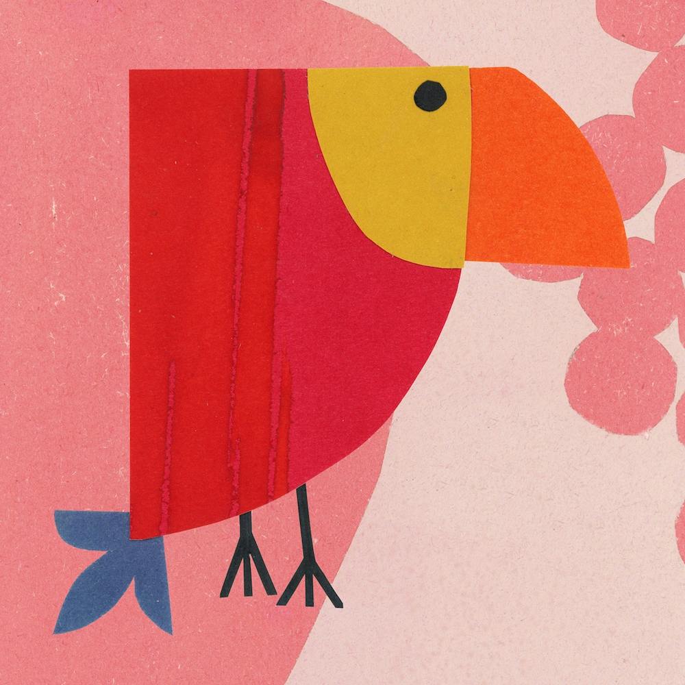 Toucan