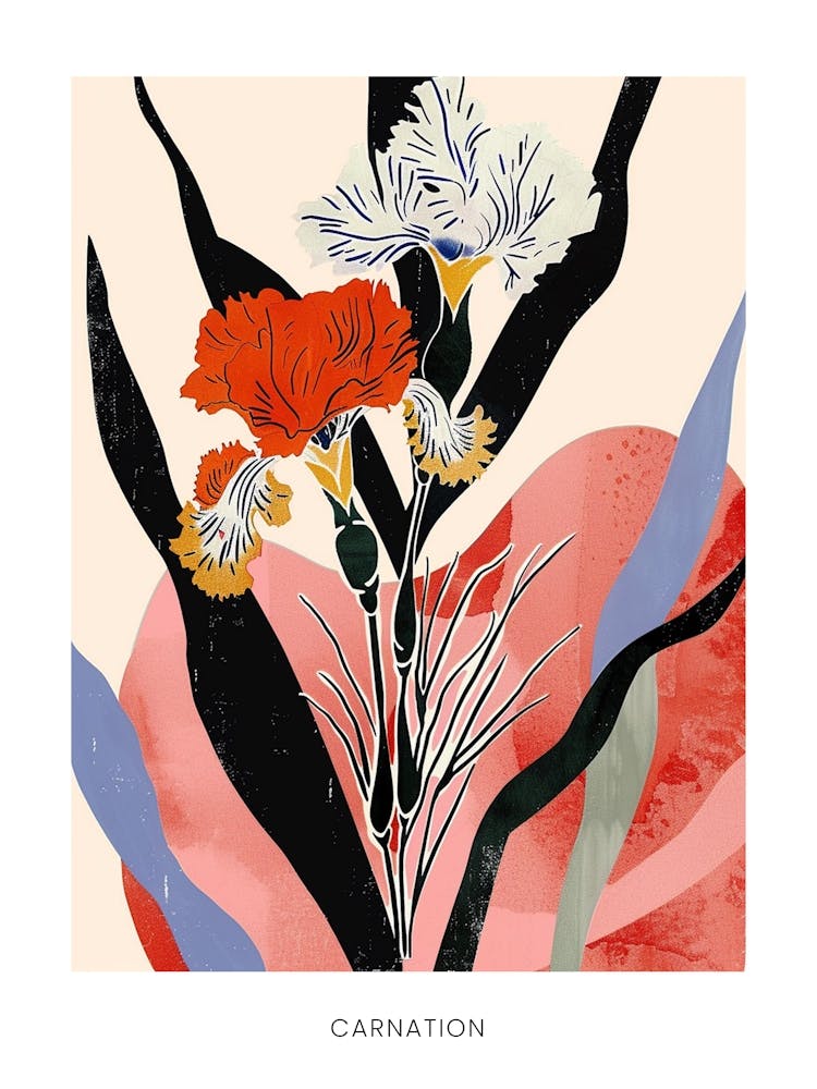 Colourful Flower Illustration Poster Carnation 2