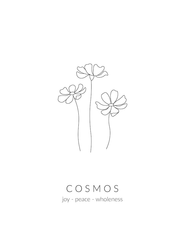 Cosmos Birth Flower
