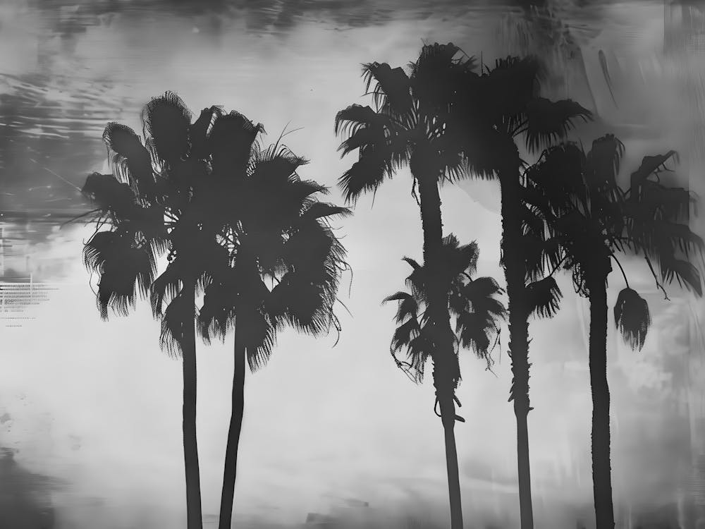 Palm Trees 8