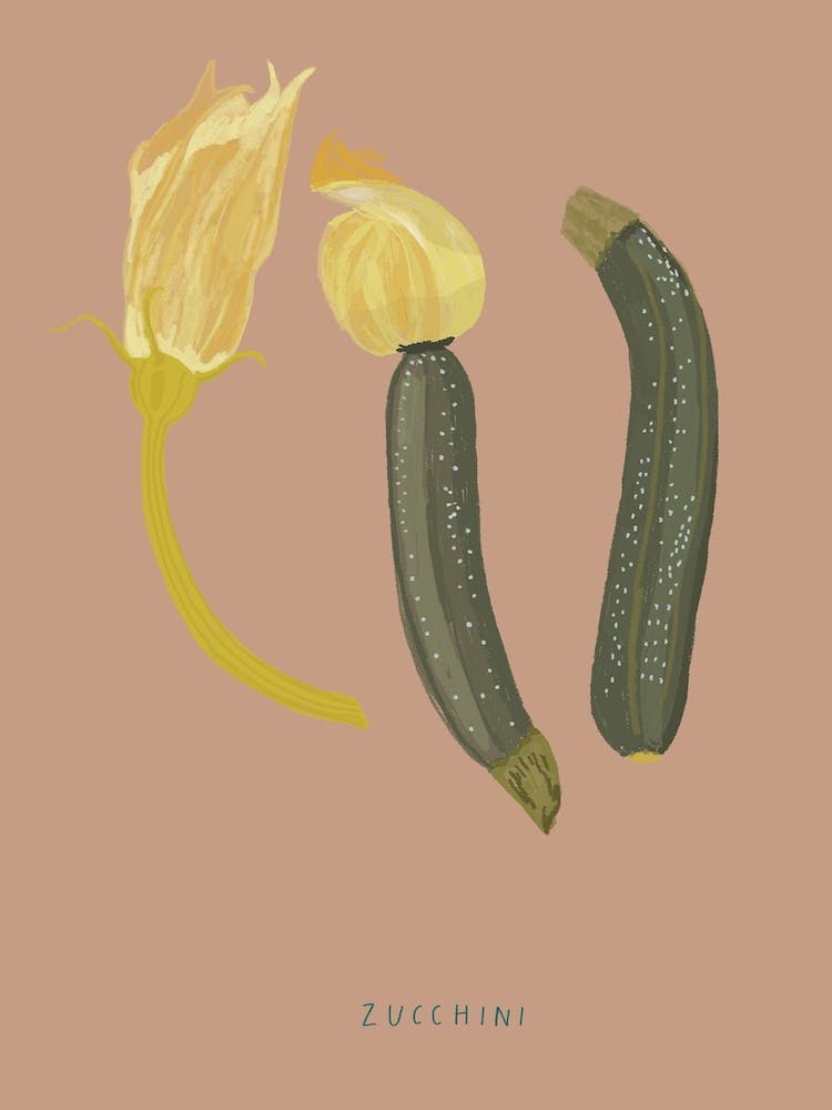 Courgettes