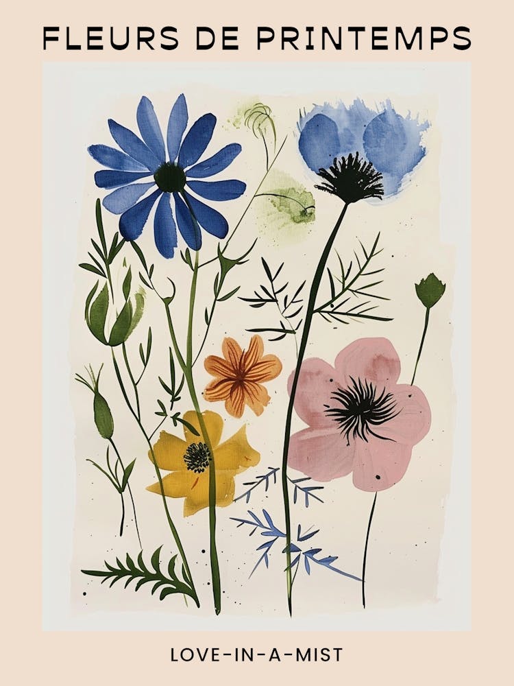 Spring Floral French Poster  Love In A Mist 3