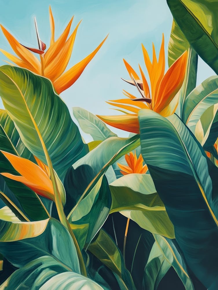 Bird Of Paradise 104