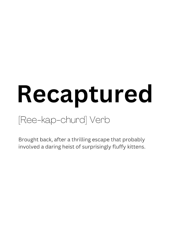 Recaptured Definition Meaning 1