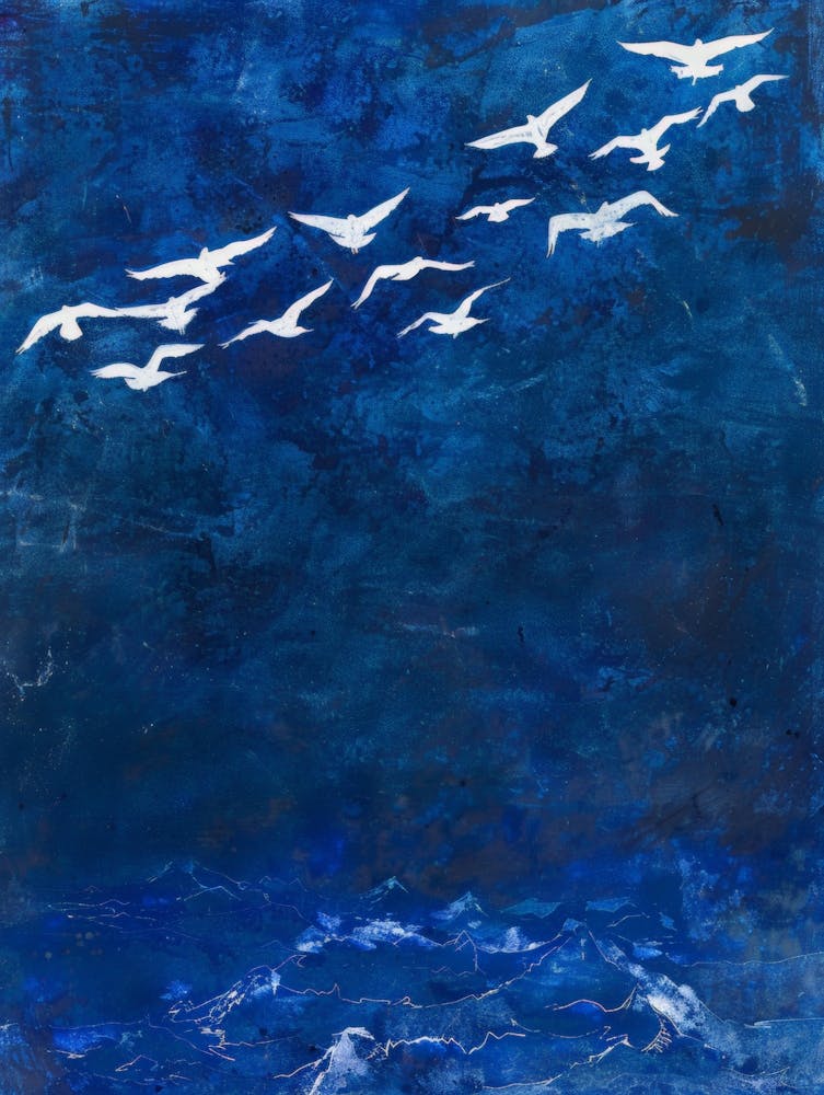 Seagulls In The Sky 2