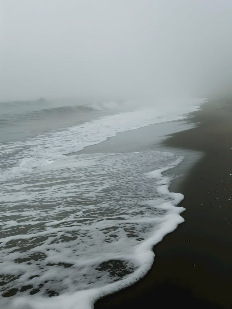 Fog On The Beach