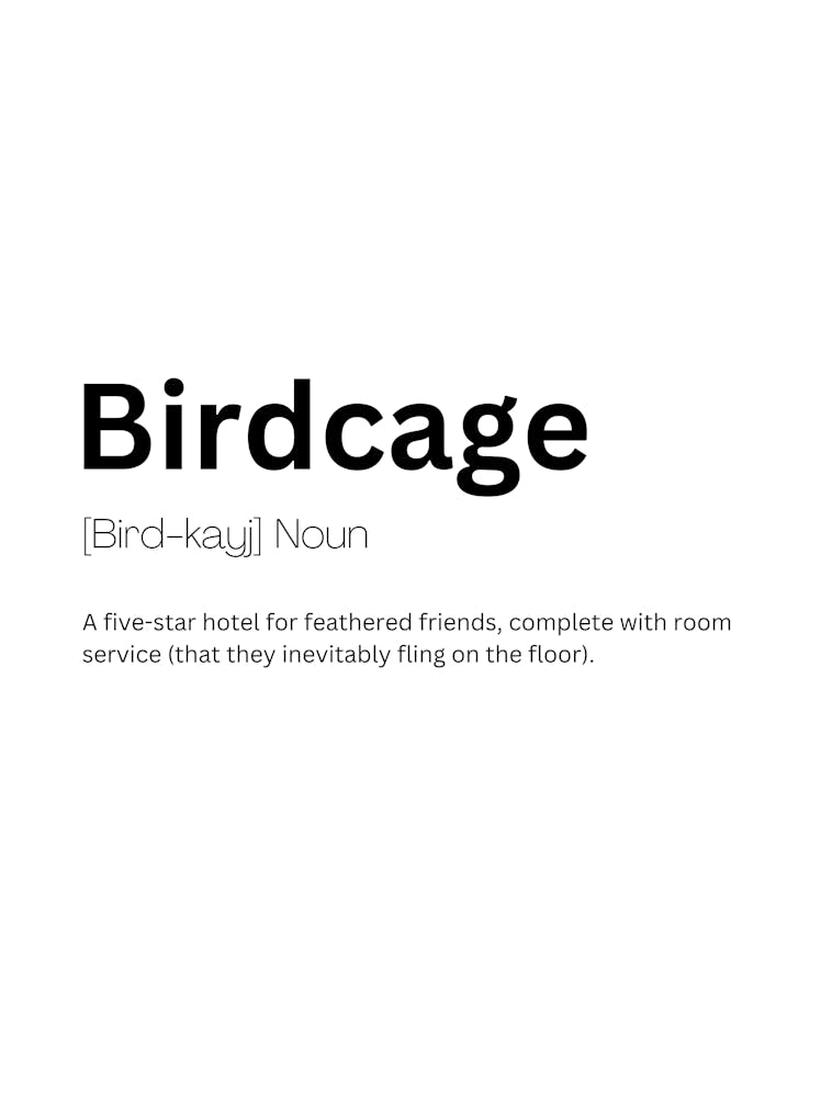 Birdcage Definition Meaning 1