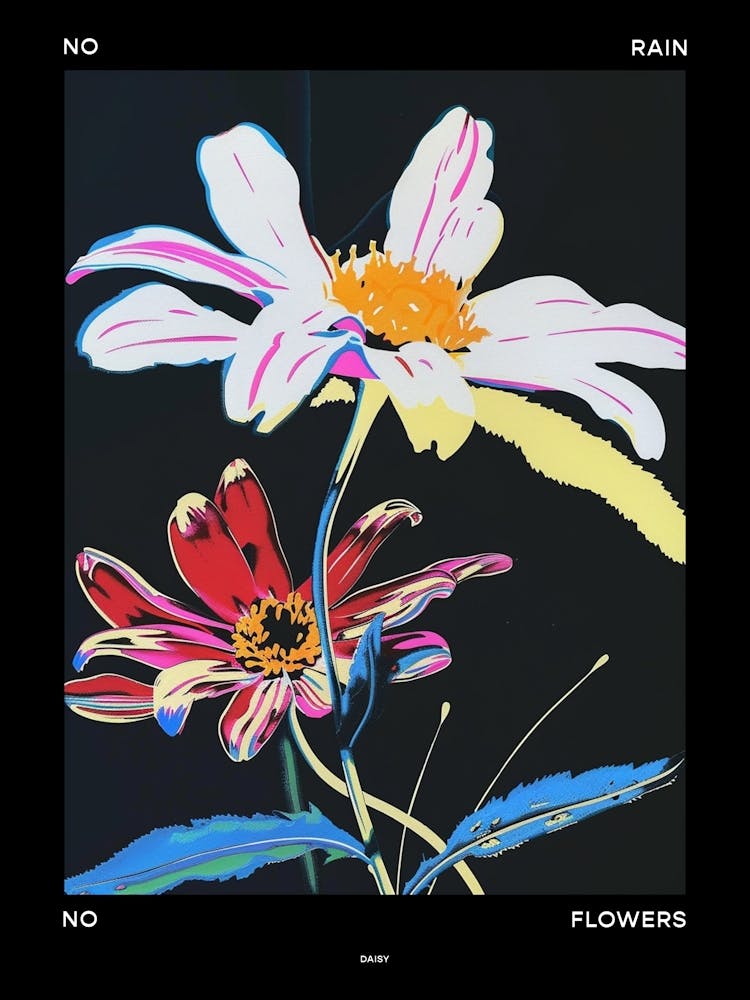 No Rain No Flowers Poster Daisy 3