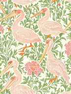 Pelican 2 William Morris Style Bird