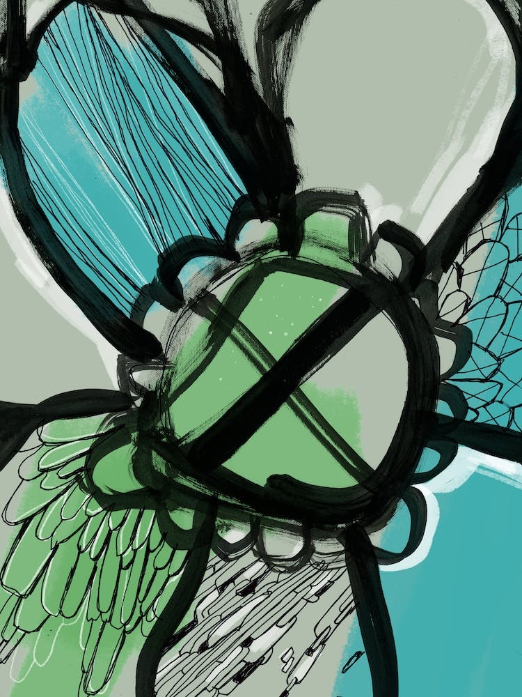 Flow Wow Abstract Flower