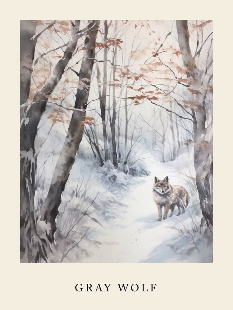 Winter Aquarell Grauwolf 3 Poster