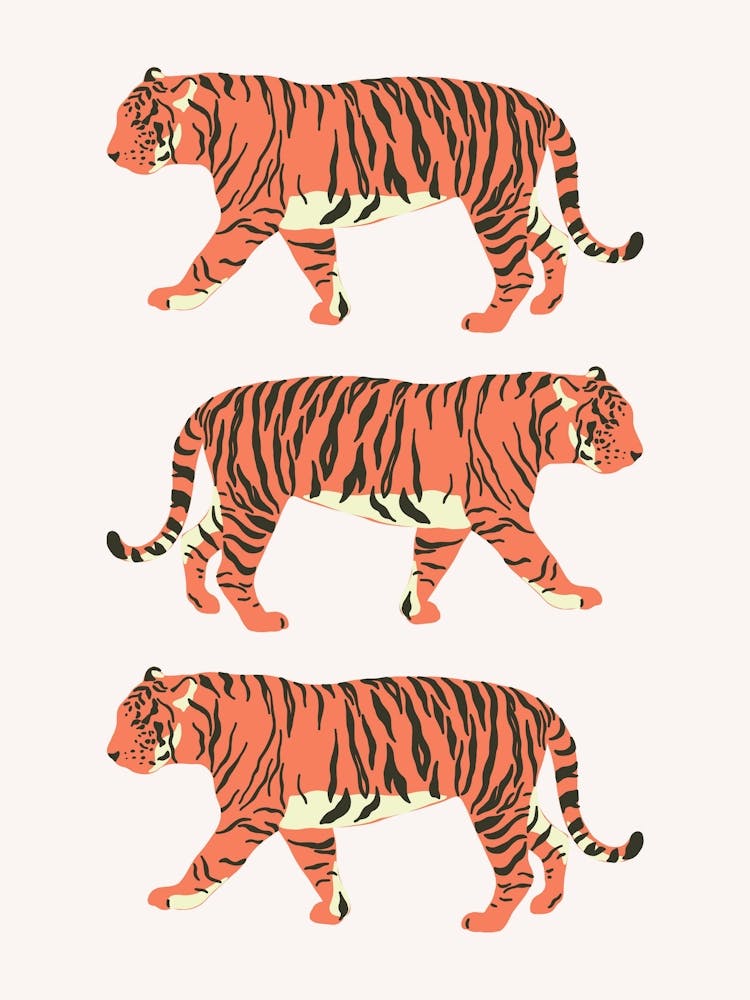 Tiger Trio