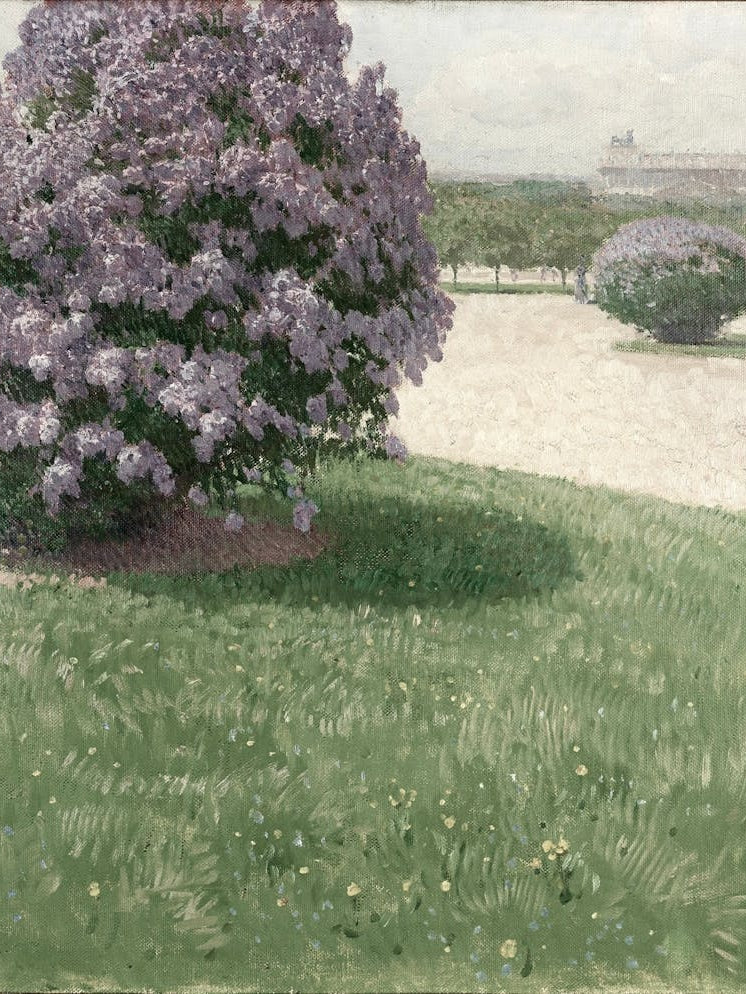 Lilacs In The Park