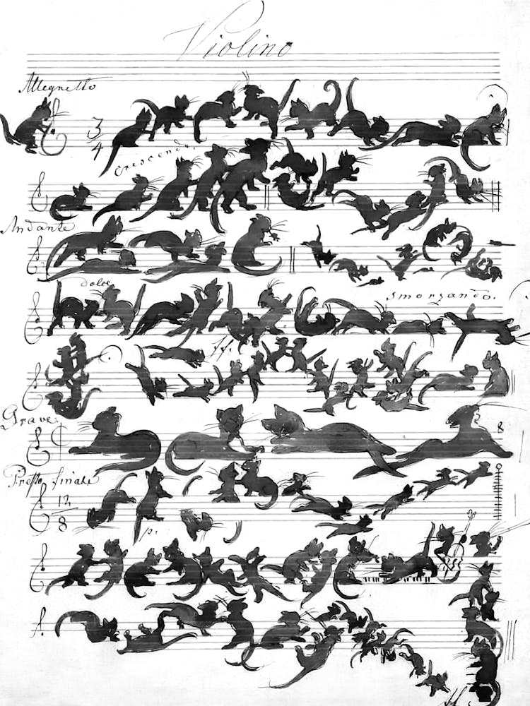 Cat Symphony Black And White